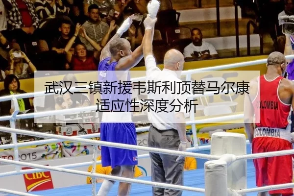 武汉三镇新援韦斯利顶替马尔康 适应性深度分析